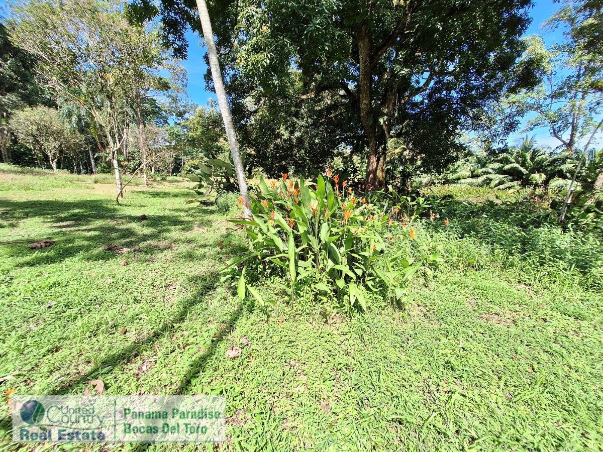 Waterfront Land with Cabin, 8.2 Acres — Bocas del Toro - 21