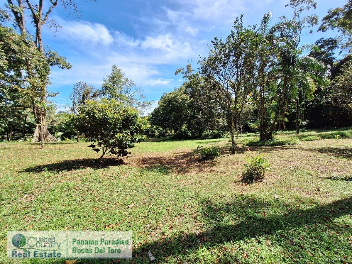 Waterfront Land with Cabin, 8.2 Acres — Bocas del Toro - 16
