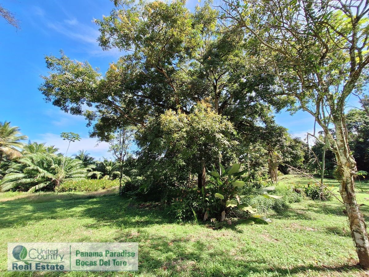 Waterfront Land with Cabin, 8.2 Acres — Bocas del Toro - 19