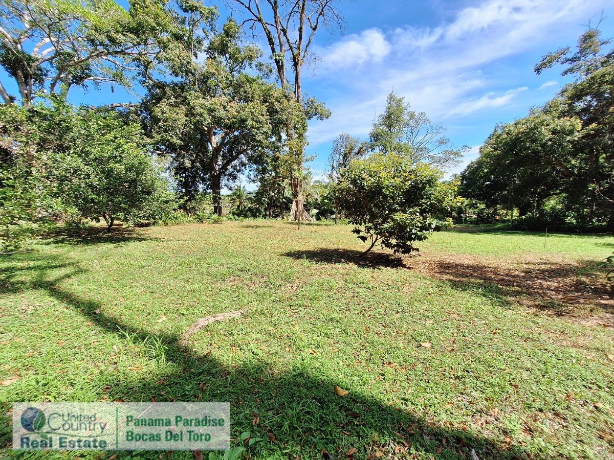 Waterfront Land with Cabin, 8.2 Acres — Bocas del Toro - 17