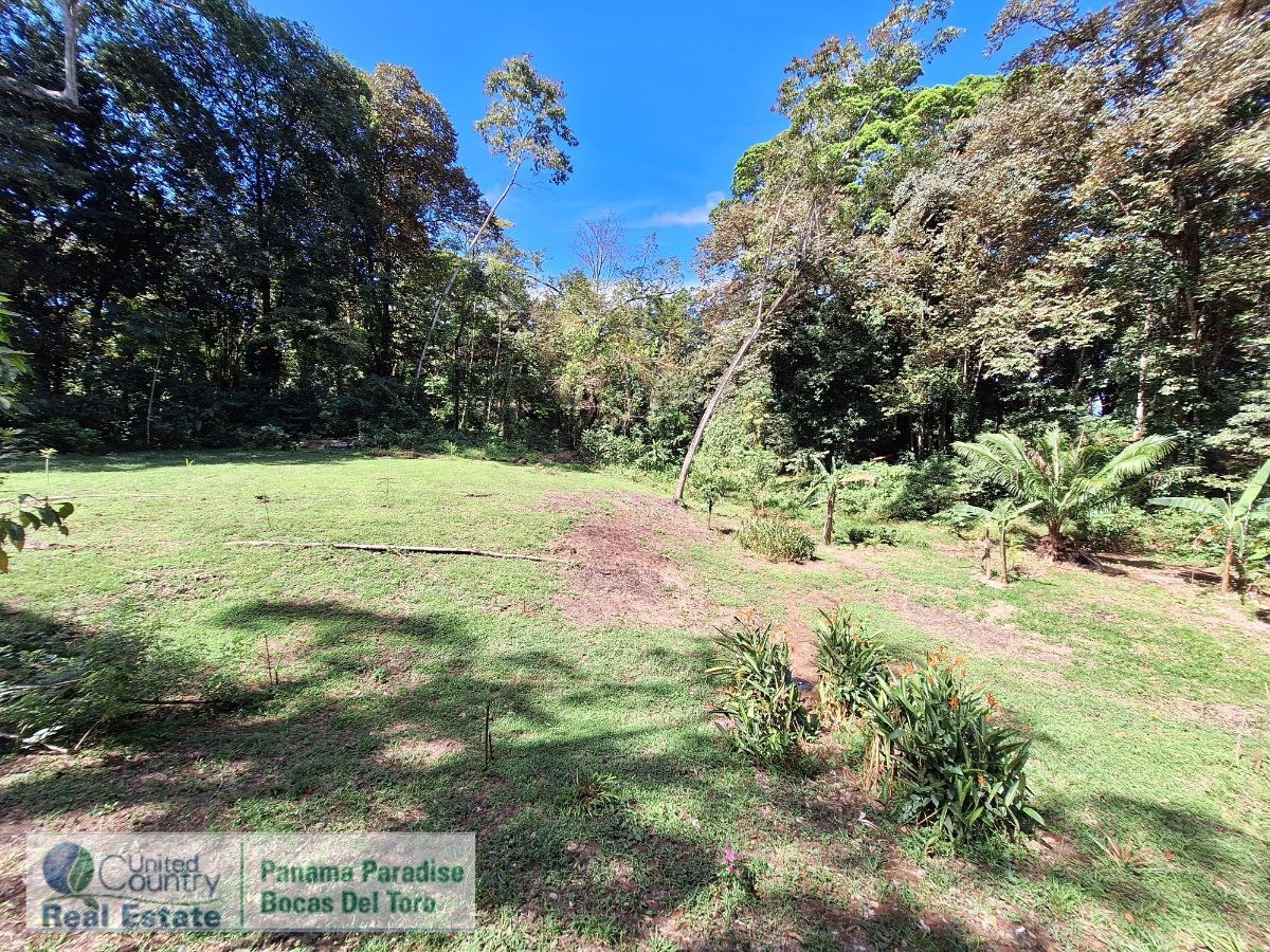 Waterfront Land with Cabin, 8.2 Acres — Bocas del Toro - 13