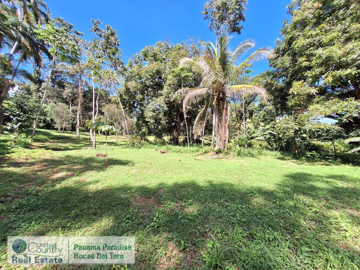 Waterfront Land with Cabin, 8.2 Acres — Bocas del Toro - 20