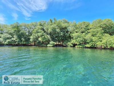 Waterfront Land with Small Cabin, Bocas del Toro, Panama - image 18