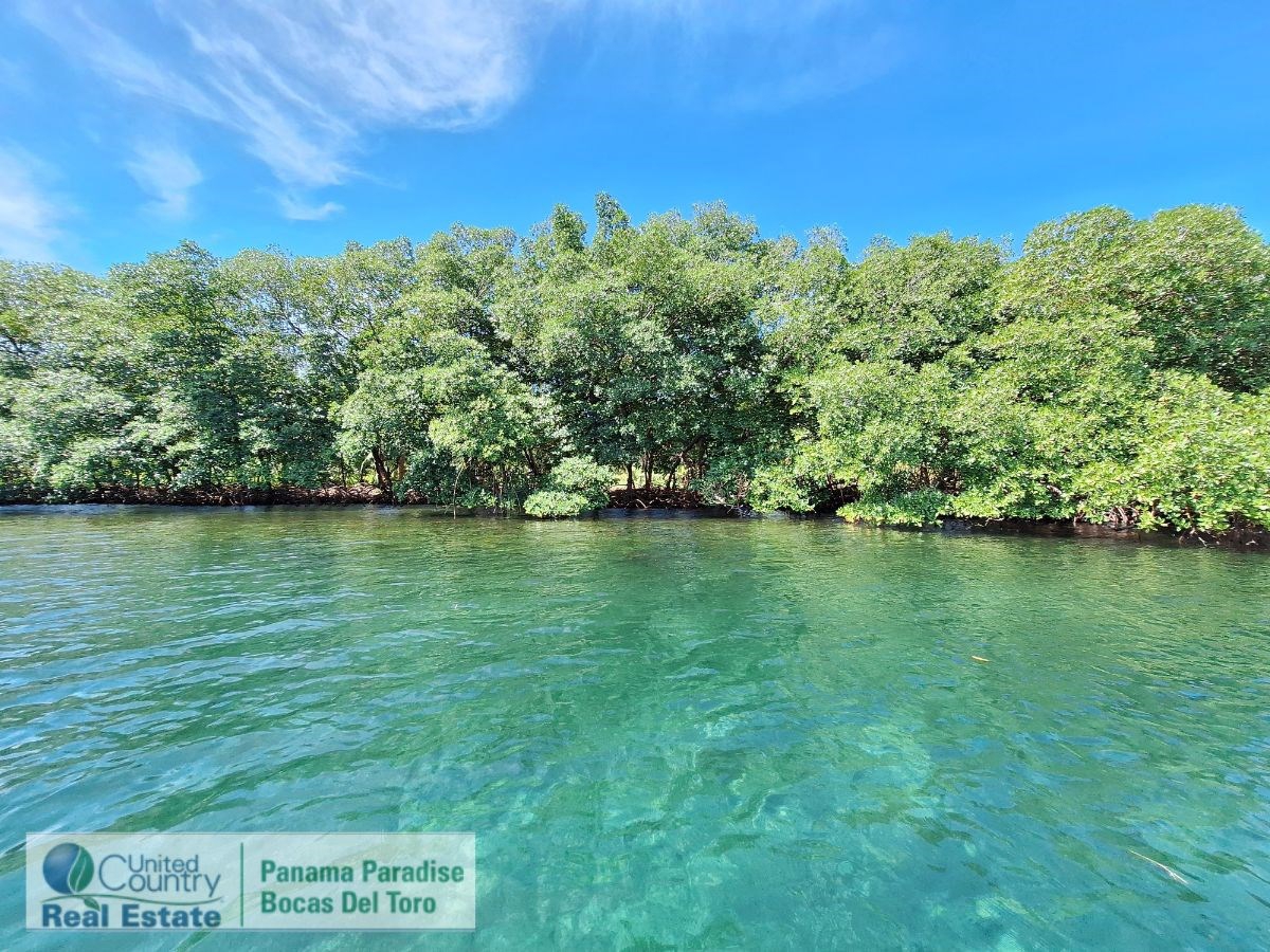 Waterfront Land with Cabin, 8.2 Acres — Bocas del Toro - 7