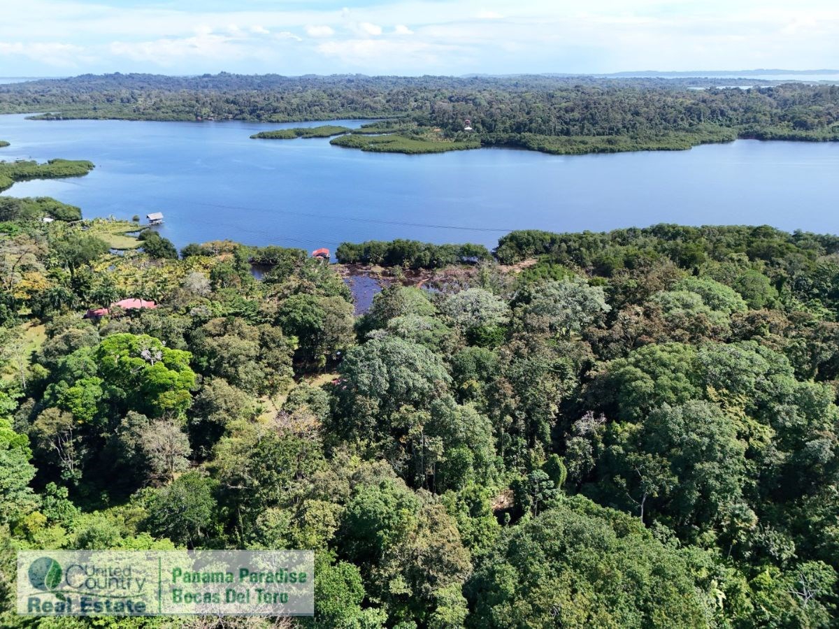 Waterfront Land with Cabin, 8.2 Acres — Bocas del Toro - 24