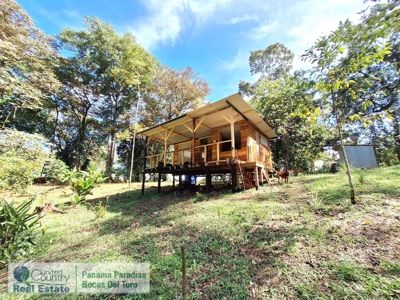 Waterfront Land with Small Cabin, Bocas del Toro, Panama - image 8