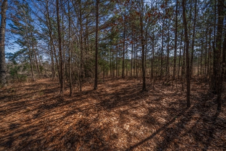 65+ Acre Ranch for Sale in Marshall, TX - image 41