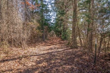 65+ Acre Ranch for Sale in Marshall, TX - image 39