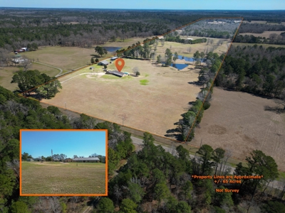 65+ Acre Ranch for Sale in Marshall, TX - image 3
