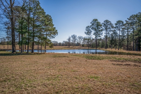 65+ Acre Ranch for Sale in Marshall, TX - image 37