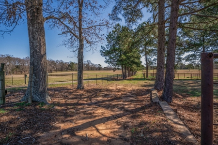 65+ Acre Ranch for Sale in Marshall, TX - image 36