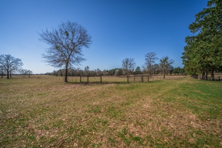 65+ Acre Ranch for Sale in Marshall, TX - image 43