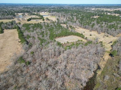 65+ Acre Ranch for Sale in Marshall, TX - image 46