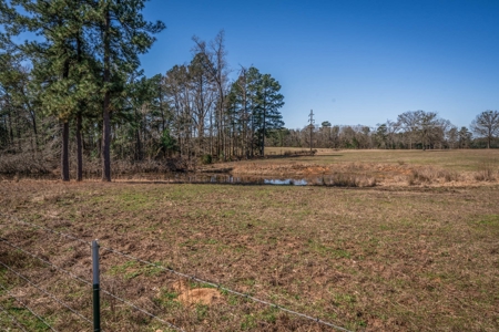 65+ Acre Ranch for Sale in Marshall, TX - image 38