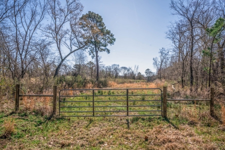 65+ Acre Ranch for Sale in Marshall, TX - image 42