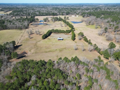 65+ Acre Ranch for Sale in Marshall, TX - image 45