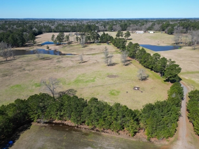 65+ Acre Ranch for Sale in Marshall, TX - image 44