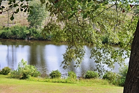 Waterfront Home, Bridlewood, Cheraw, Move-In Ready - image 42