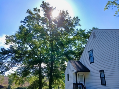 Waterfront Home, Bridlewood, Cheraw, Move-In Ready - image 34