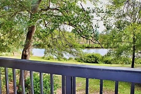 Waterfront Home, Bridlewood, Cheraw, Move-In Ready - image 43