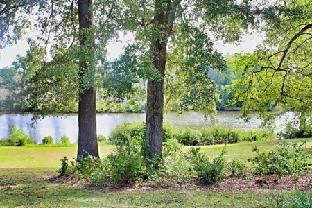 Waterfront Home, Bridlewood, Cheraw, Move-In Ready - image 44