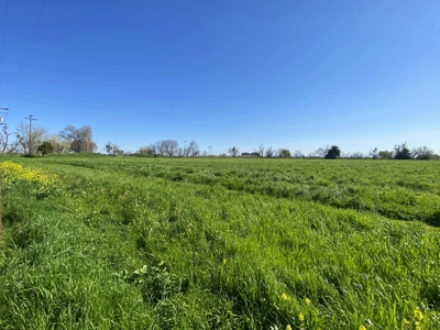Yolo County Farm Land 17 Acres with Seller Financing Available for Sale - image 19