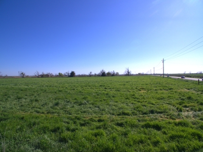 Yolo County Farm Land 17 Acres with Seller Financing Available for Sale - image 17