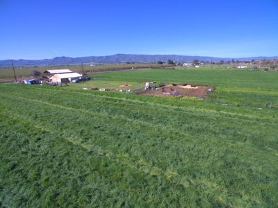 Yolo County Farm Land 17 Acres with Seller Financing Available for Sale - image 16