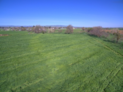 Yolo County Farm Land 17 Acres with Seller Financing Available for Sale - image 21
