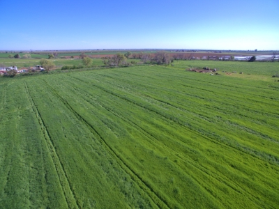 Yolo County Farm Land 17 Acres with Seller Financing Available for Sale - image 25