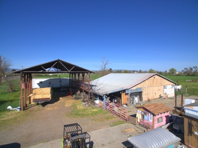Yolo County Farm Land 17 Acres with Seller Financing Available for Sale - image 14