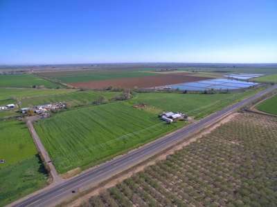 Yolo County Farm Land 17 Acres with Seller Financing Available for Sale - image 1