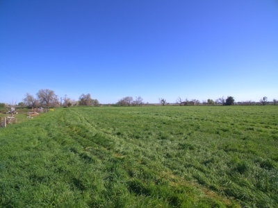 Yolo County Farm Land 17 Acres with Seller Financing Available for Sale - image 18