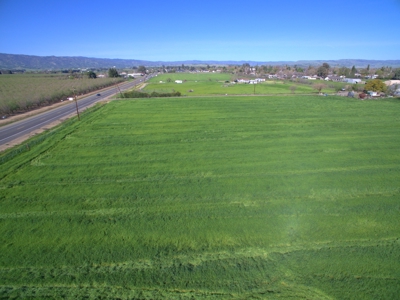 Yolo County Farm Land 17 Acres with Seller Financing Available for Sale - image 22