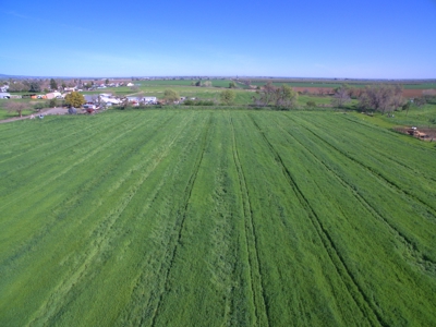 Yolo County Farm Land 17 Acres with Seller Financing Available for Sale - image 24