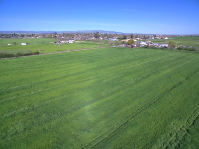 Yolo County Farm Land 17 Acres with Seller Financing Available for Sale - image 23
