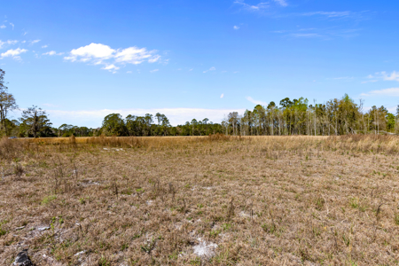 6+ Acres of Prime Agricultural Land in Hawthorne, FL - Perfect for Your Country Home - image 9