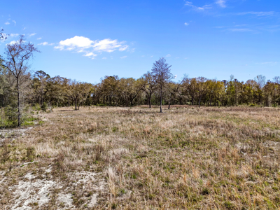 6+ Acres of Prime Agricultural Land in Hawthorne, FL - Perfect for Your Country Home - image 10