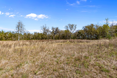 6+ Acres of Prime Agricultural Land in Hawthorne, FL - Perfect for Your Country Home - image 7