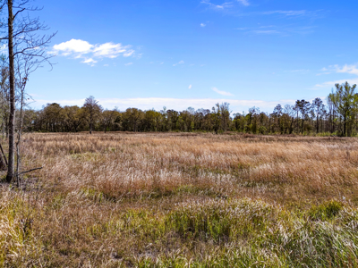 6+ Acres of Prime Agricultural Land in Hawthorne, FL - Perfect for Your Country Home - image 2
