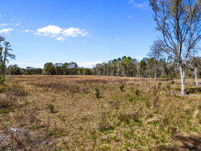 6+ Acres of Prime Agricultural Land in Hawthorne, FL - Perfect for Your Country Home - image 1