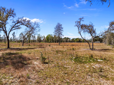 6+ Acres of Prime Agricultural Land in Hawthorne, FL - Perfect for Your Country Home - image 11