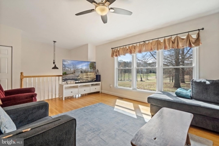 Equestrian Paradise: 20.5 Acres of Pure Virginia Countryside - image 10