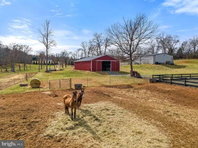Equestrian Paradise: 20.5 Acres of Pure Virginia Countryside - image 45