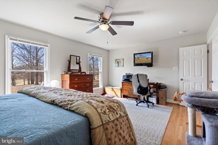 Equestrian Paradise: 20.5 Acres of Pure Virginia Countryside - image 20