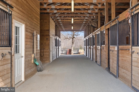 Equestrian Paradise: 20.5 Acres of Pure Virginia Countryside - image 40