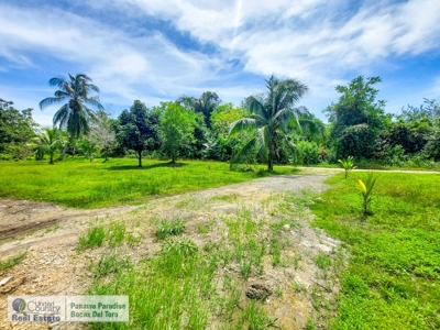 Newly Constructed Home with Water and Road Access - image 31