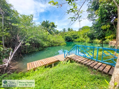 Newly Constructed Home with Water and Road Access - image 36