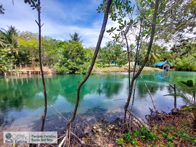 Newly Constructed Home with Water and Road Access - image 30
