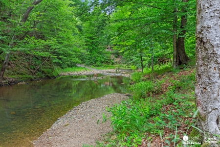 Log Style Cabin on Sugar Creek at Shady. - image 14
